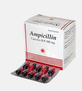 Ampicillin (Penicillin)